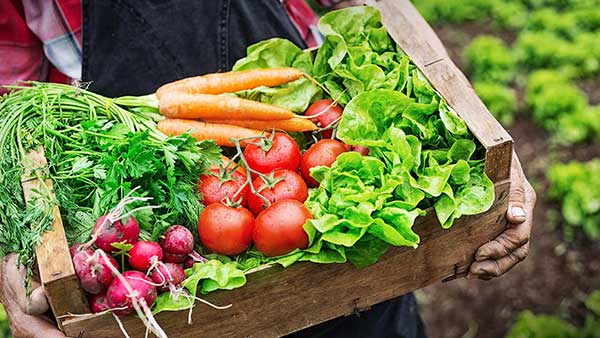 vegetables