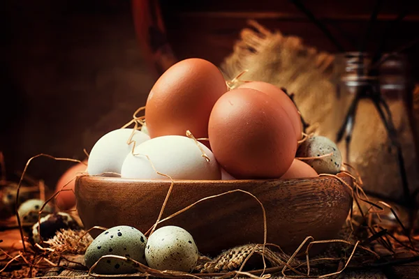 colorful chicken and quail eggs - USDA net weight image