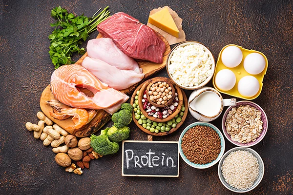 food with protein top view