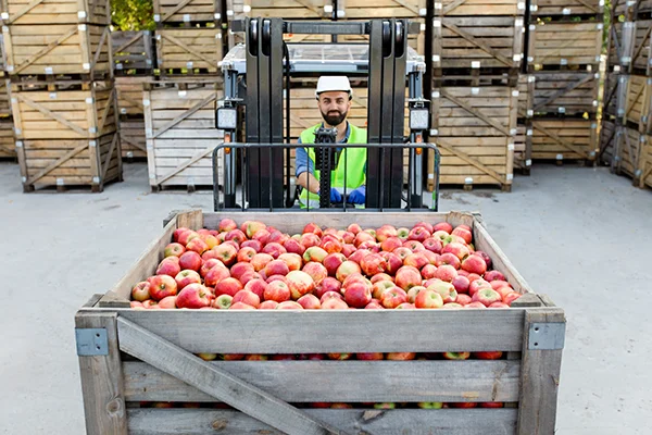 Fruit business, organic juice production and work at warehouse