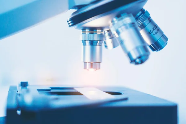 trelfa labs image testimonial