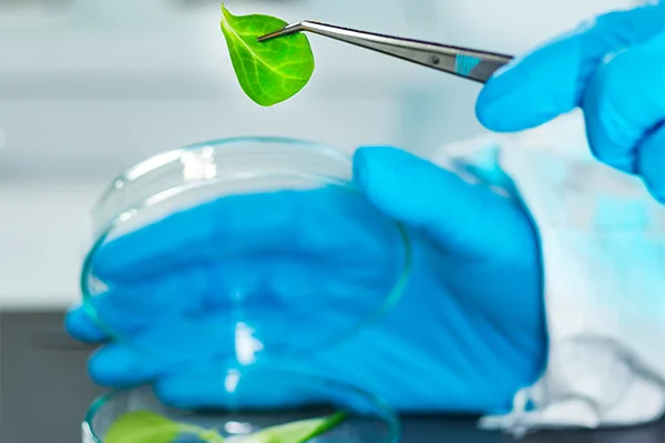 plant laboratory and biology technician