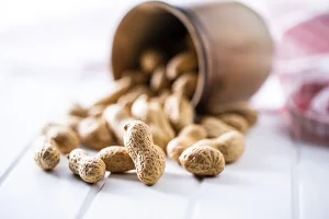 Roasted Peanuts Spilling from Metal Container on Table